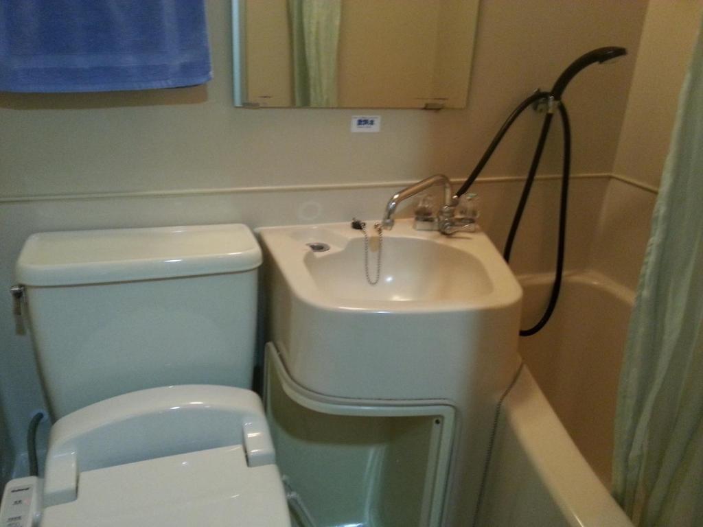 Hotel Hashimoto 2*