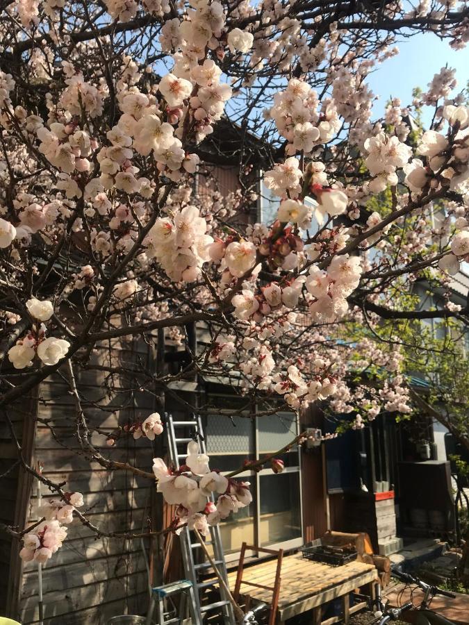 Shabby House Guest house