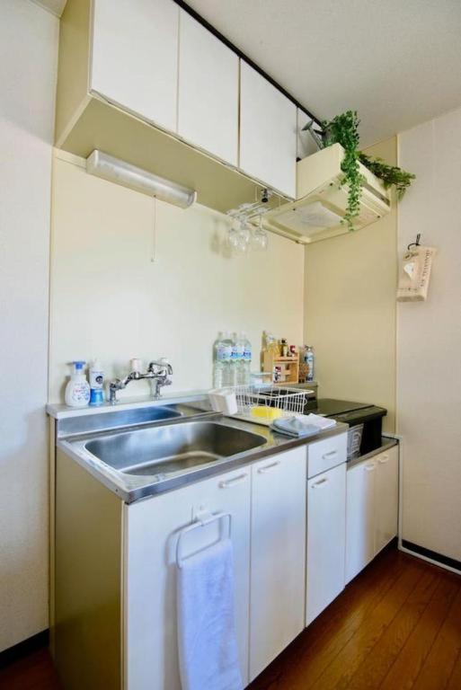 Southhouses札幌市中心部まで徒歩5分 Apartment Sapporo