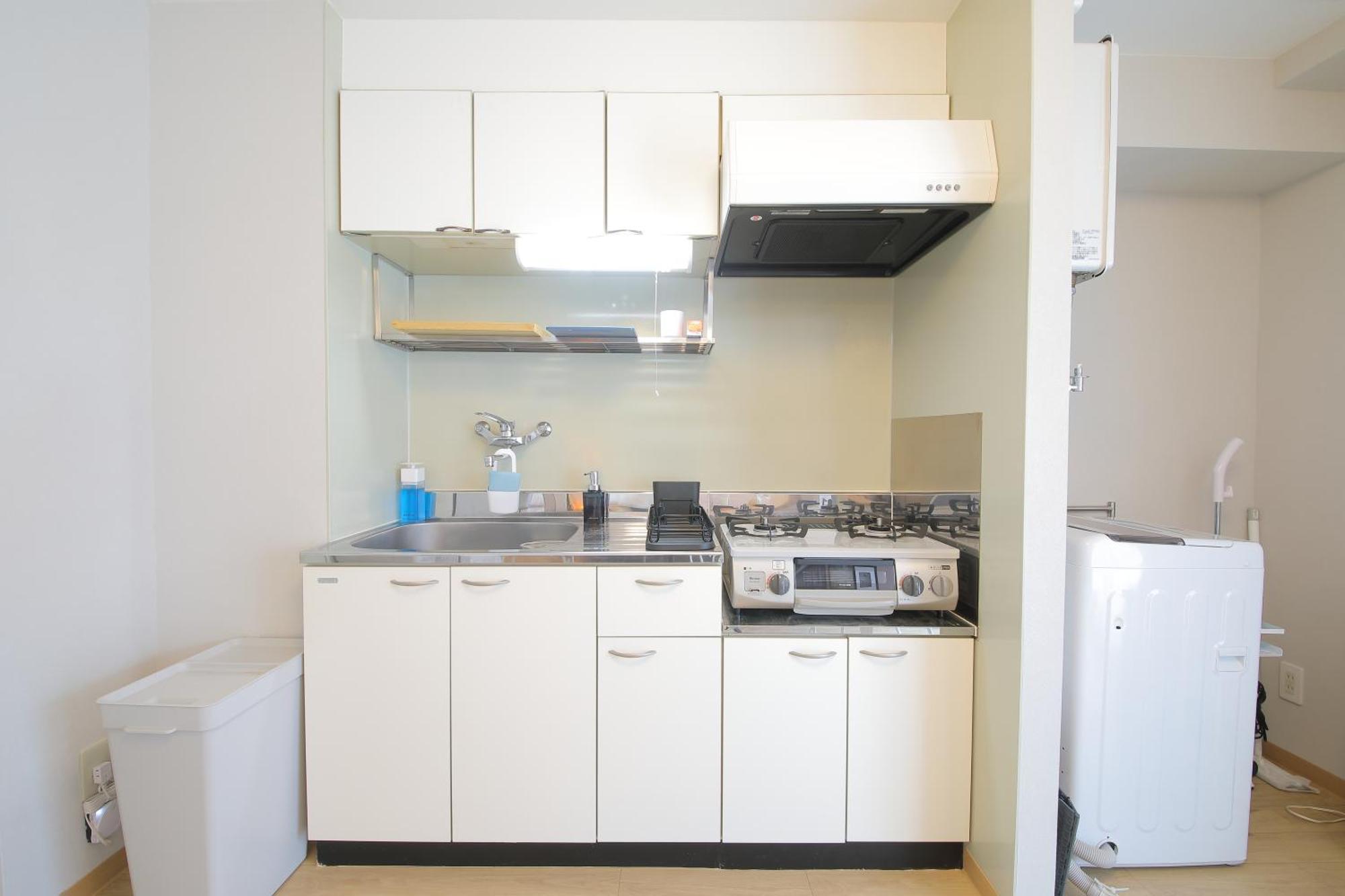 Apartment シティペトルシュカ *