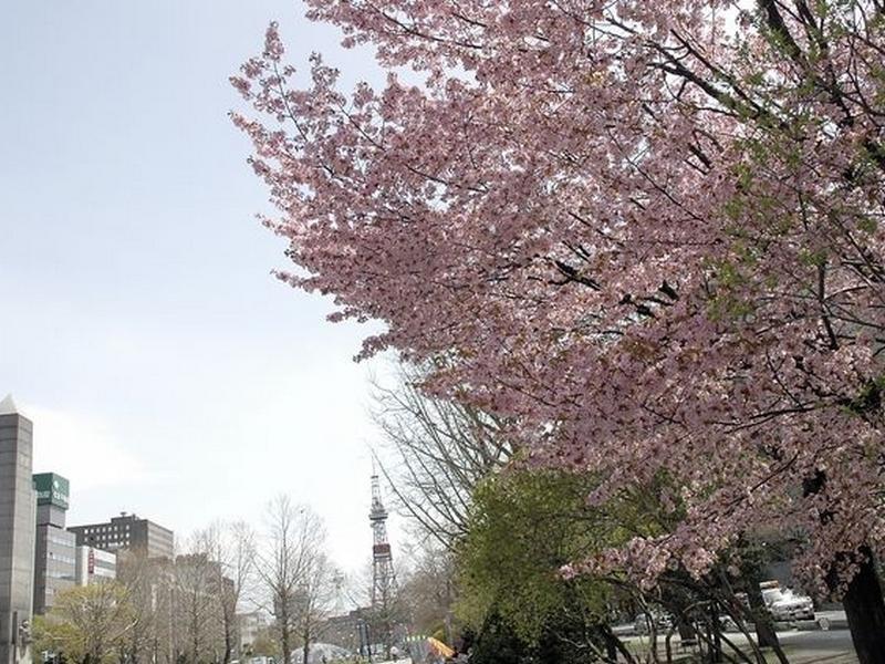 Hotel Tmark Sapporo