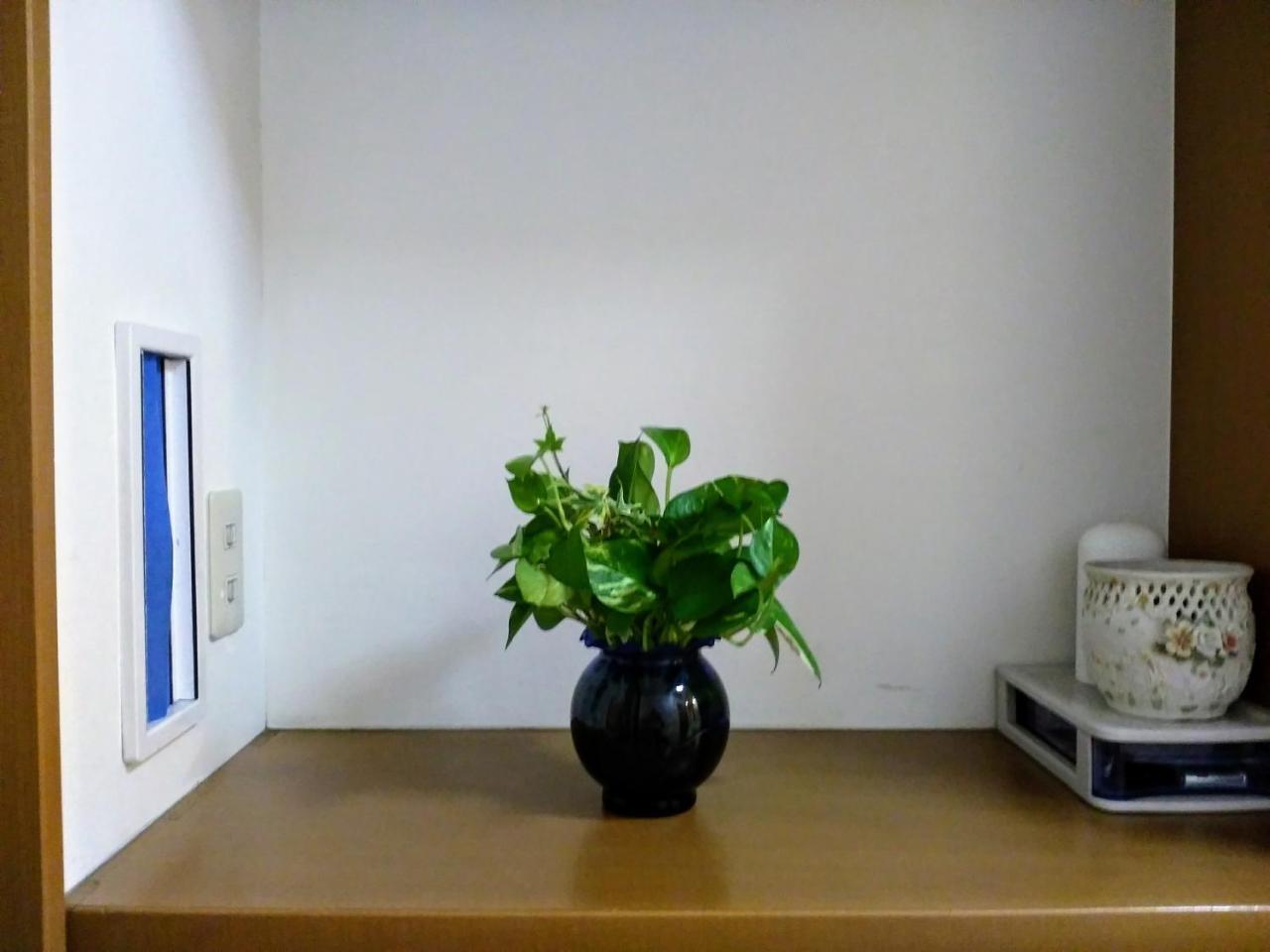 At N23 Homestay Sapporo